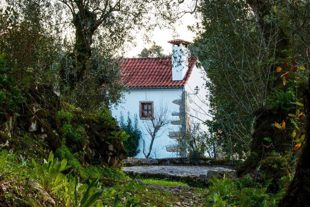 Vila Casa Do Vale Do Papo Pombal  Exteriér fotografie